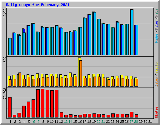 Daily usage for February 2021