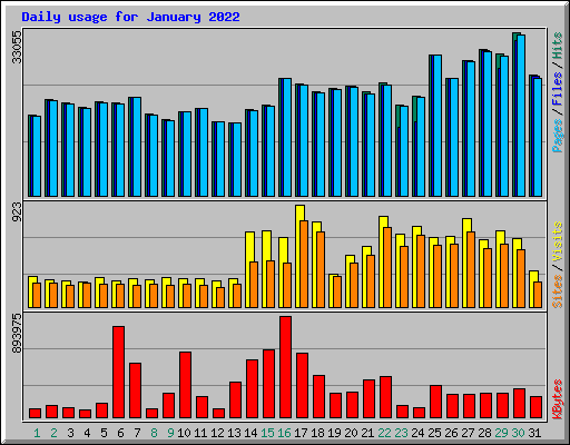 Daily usage for January 2022