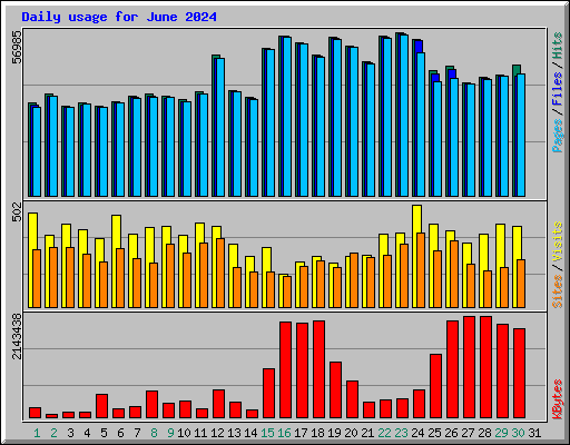 Daily usage for June 2024