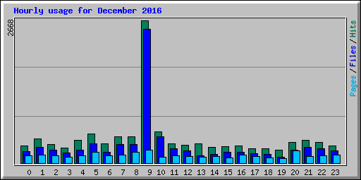 Hourly usage for December 2016