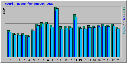 Hourly usage for August 2020