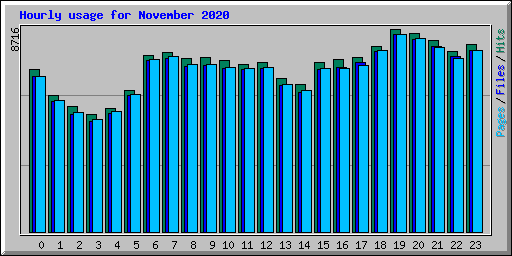 Hourly usage for November 2020