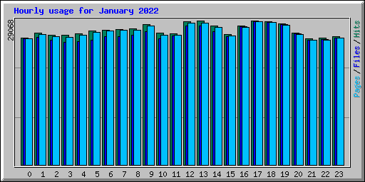 Hourly usage for January 2022