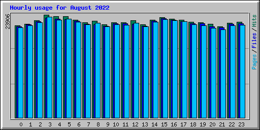 Hourly usage for August 2022