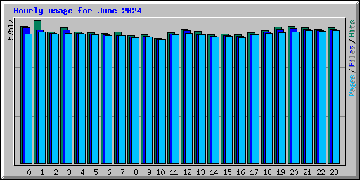 Hourly usage for June 2024