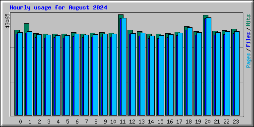 Hourly usage for August 2024