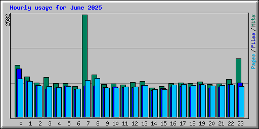 Hourly usage for June 2025