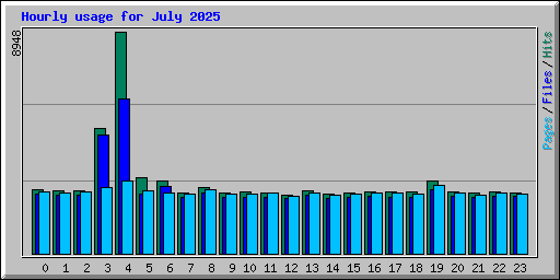Hourly usage for July 2025