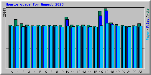 Hourly usage for August 2025