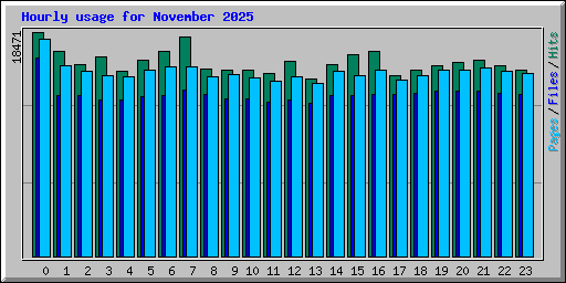 Hourly usage for November 2025