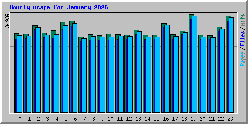 Hourly usage for January 2026