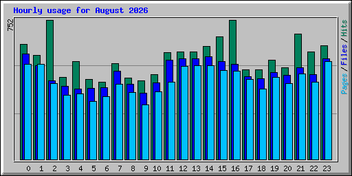 Hourly usage for August 2026